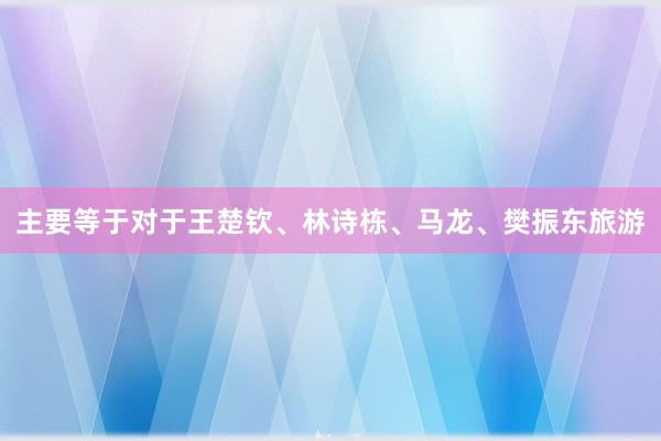 主要等于对于王楚钦、林诗栋、马龙、樊振东旅游