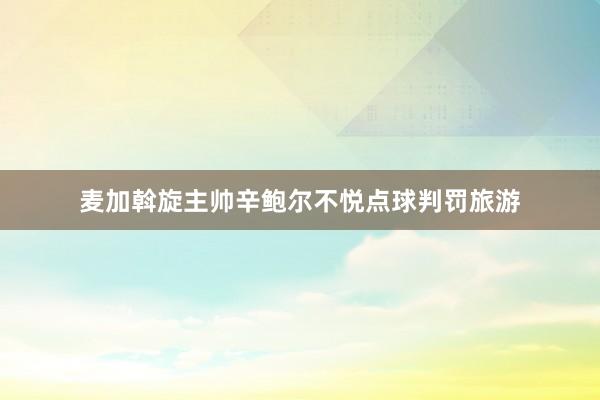 麦加斡旋主帅辛鲍尔不悦点球判罚旅游