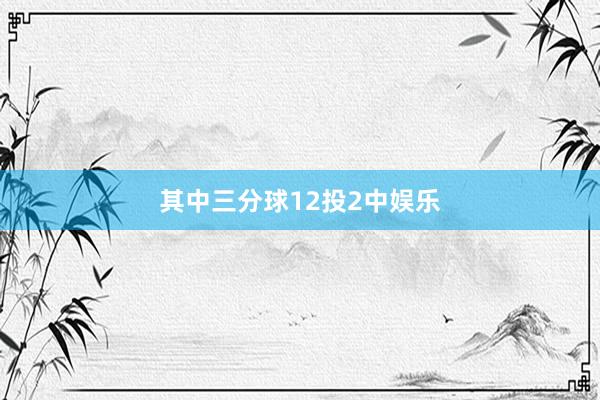 其中三分球12投2中娱乐